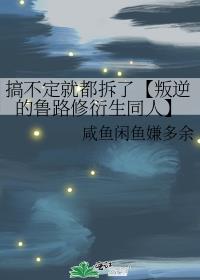 搞不定就都拆了【叛逆的鲁路修衍生同人】