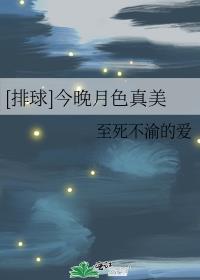 [排球]今晚月色真美